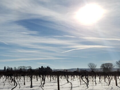 Winter Wine Country